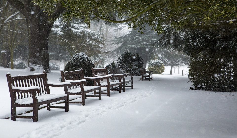 winter, snow, park